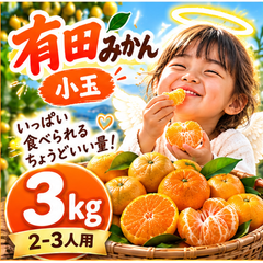 小玉【和歌山県産】有田みかん 「天使のみかん」 B級・家庭用｜甘いみかん 産地直送 3kg 極早生