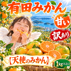 【和歌山県産】有田みかん 「天使のみかん」 B級・家庭用｜甘いみかん 産地直送 1kg