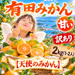 【和歌山県産】有田みかん 「天使のみかん」 B級・家庭用｜甘いみかん 産地直送 2kg