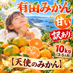 【和歌山県産】有田みかん 「天使のみかん」 B級・家庭用｜甘いみかん 産地直送 10kg