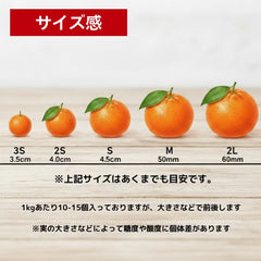 小玉【和歌山県産】有田みかん 「天使のみかん」 B級・家庭用｜甘いみかん 産地直送 10kg 極早生