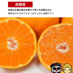 小玉【和歌山県産】有田みかん 「天使のみかん」 B級・家庭用｜甘いみかん 産地直送 10kg 極早生