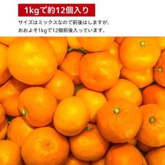 小玉【和歌山県産】有田みかん 「天使のみかん」 B級・家庭用｜甘いみかん 産地直送 10kg 極早生
