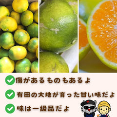 小玉【和歌山県産】有田みかん 「天使のみかん」 B級・家庭用｜甘いみかん 産地直送 10kg 極早生